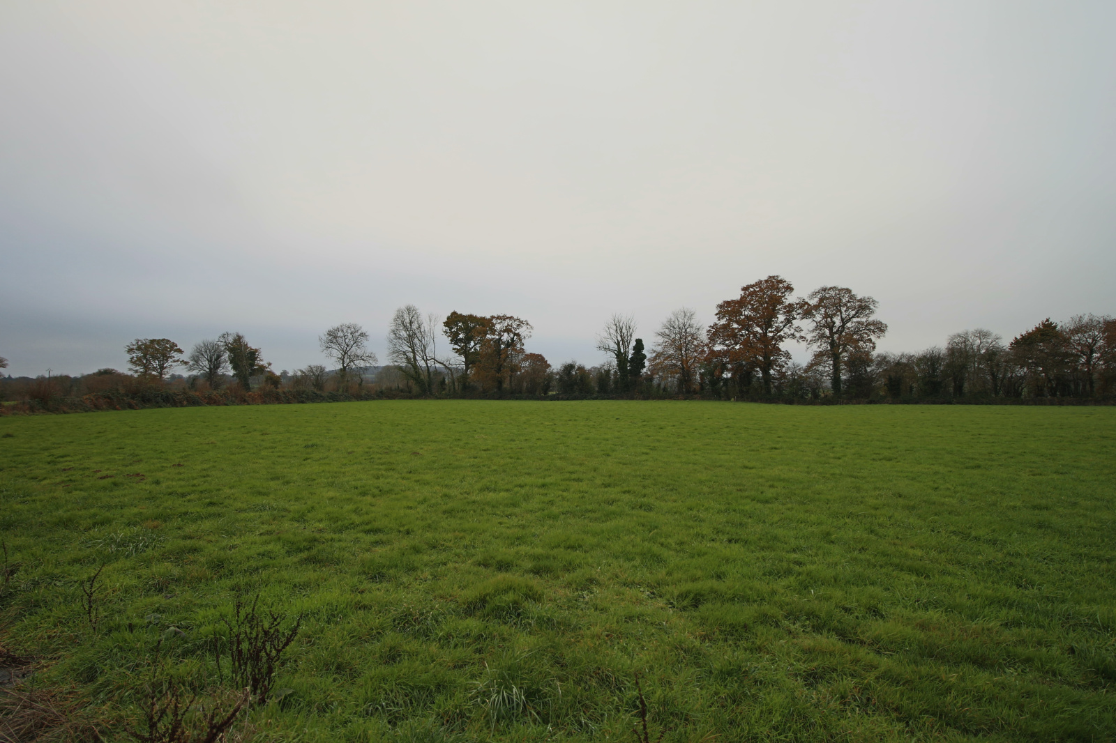 Image_, Maison, Cormolain, ref :7136